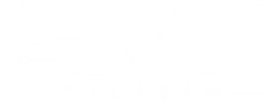 RVZ Bilişim